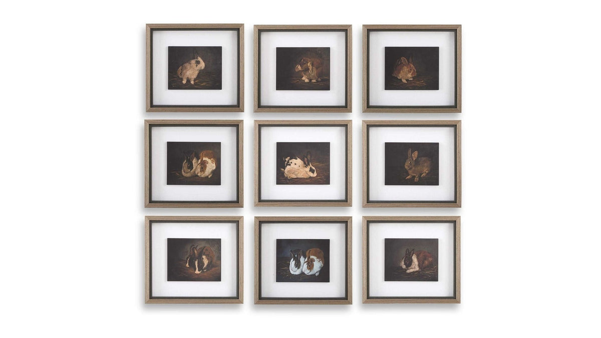 Resting Bunny - Framed Prints Set of 9 - Dark Brown