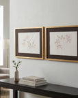 Delicate Rose I Framed Print - Cream