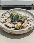 Quarried Stone - Indoor-Outdoor Bowl - Brown