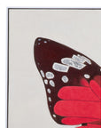 Butterfly Canvas Art Set of 2 - White