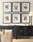 Orchid - Botanical Framed Prints (Set of 6) - Black / Blue / Gold / Green / Orange / Pink / Purple / Red