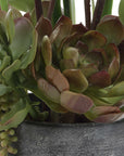 Eterna Orchid - Centerpiece & Vase - Black / Green / White