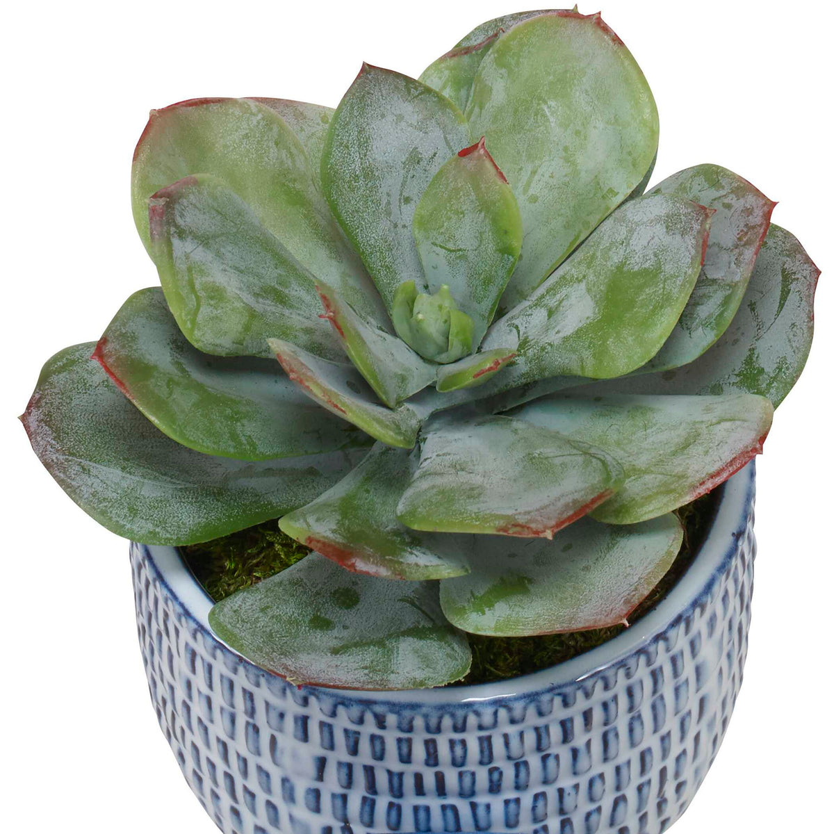 Puebla - Greenery In Blue &amp; White Pots (Set of 3) - Green