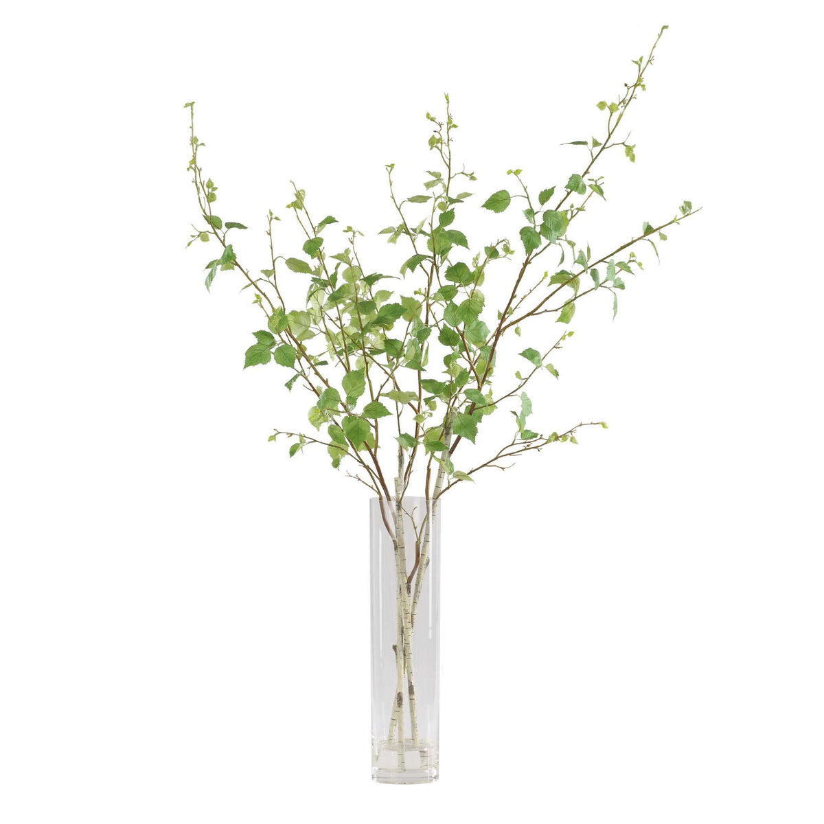 Nigra - Birch Vase Centerpiece - Green