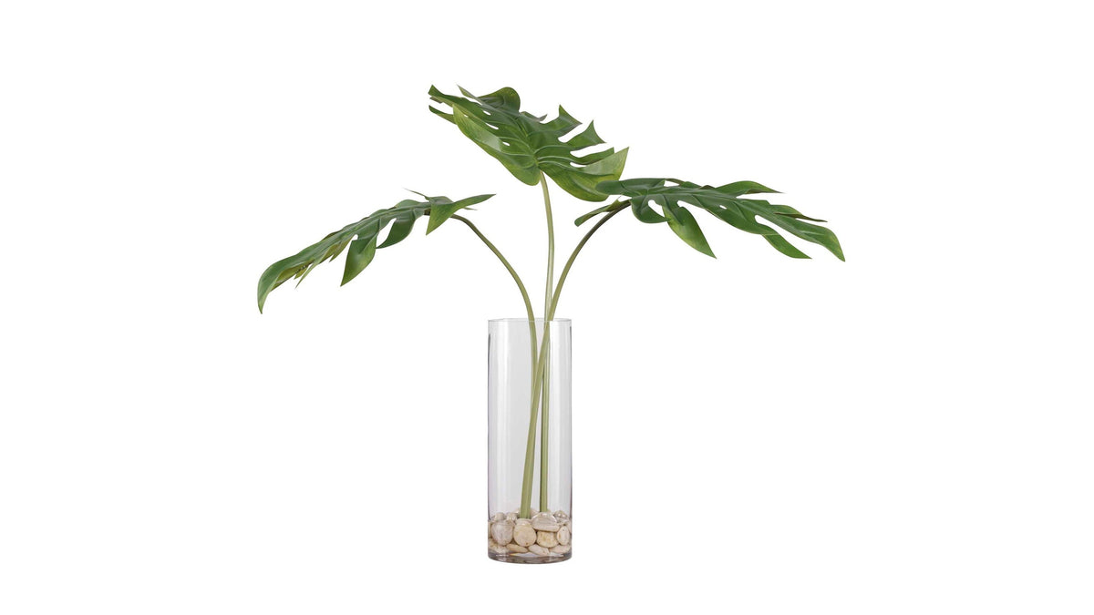 Ibero - Split Leaf Palm - Green