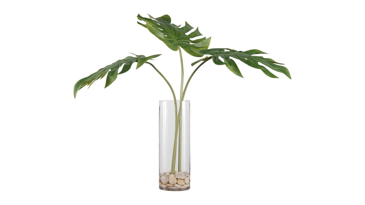 Ibero - Split Leaf Palm - Green