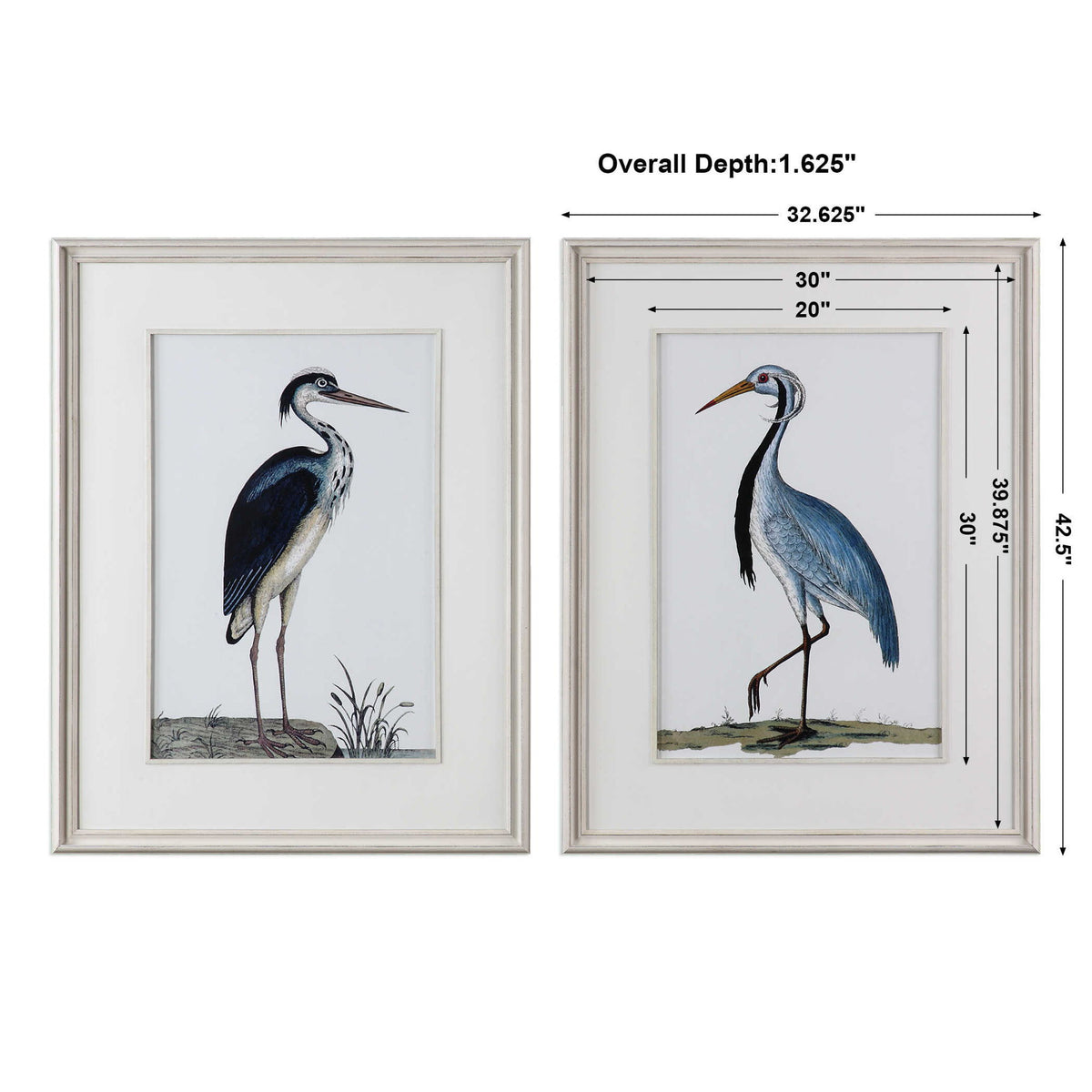 Shore Birds - Framed Prints Set of 2 - Black