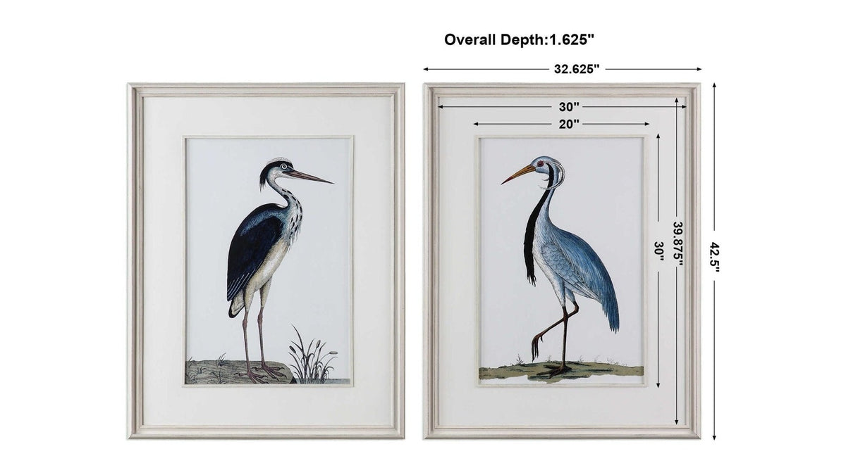 Shore Birds - Framed Prints Set of 2 - Black