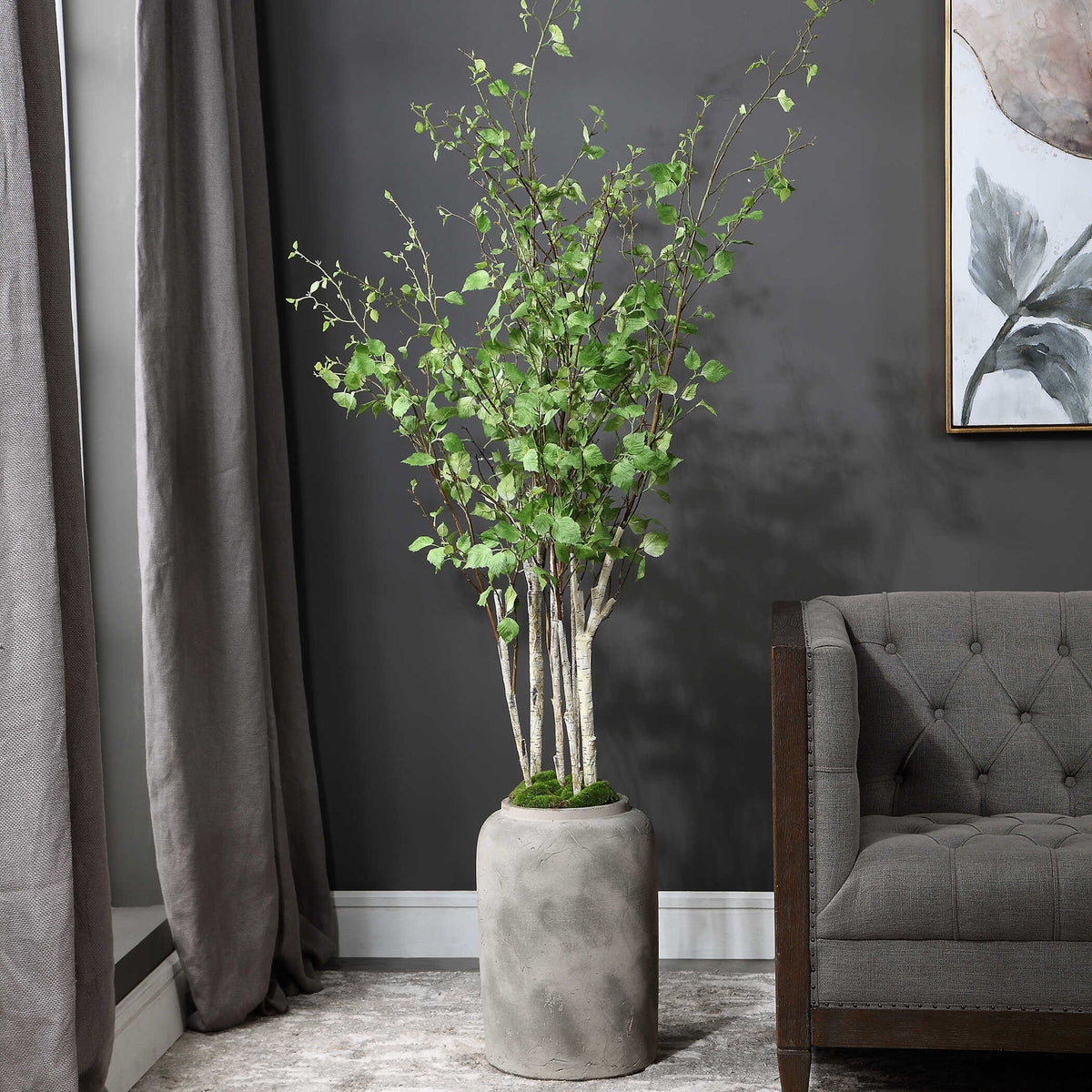 Aldis - Potted River Birch - Gray