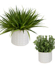Edgewood - Greenery (Set of 2) - Silver