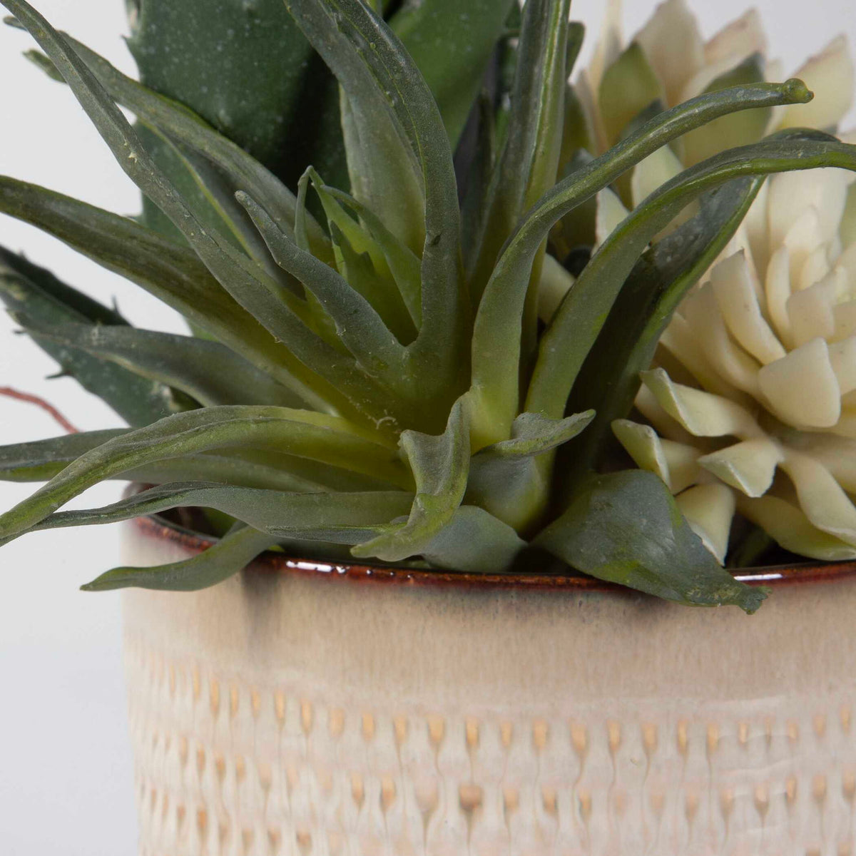 Seaside Succulents Set of 2 - Silver