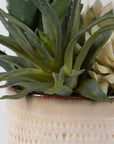 Seaside Succulents Set of 2 - Silver