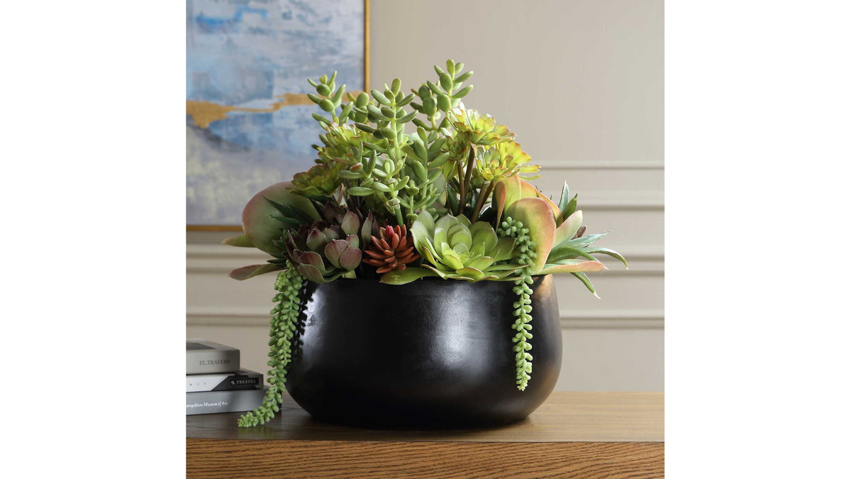 Mico - Indoor-Outdoor Succulent Centerpiece - Black,Green
