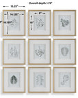 Nature's - Script Framed Botanical Prints (Set of 9) - Gold / Green / White