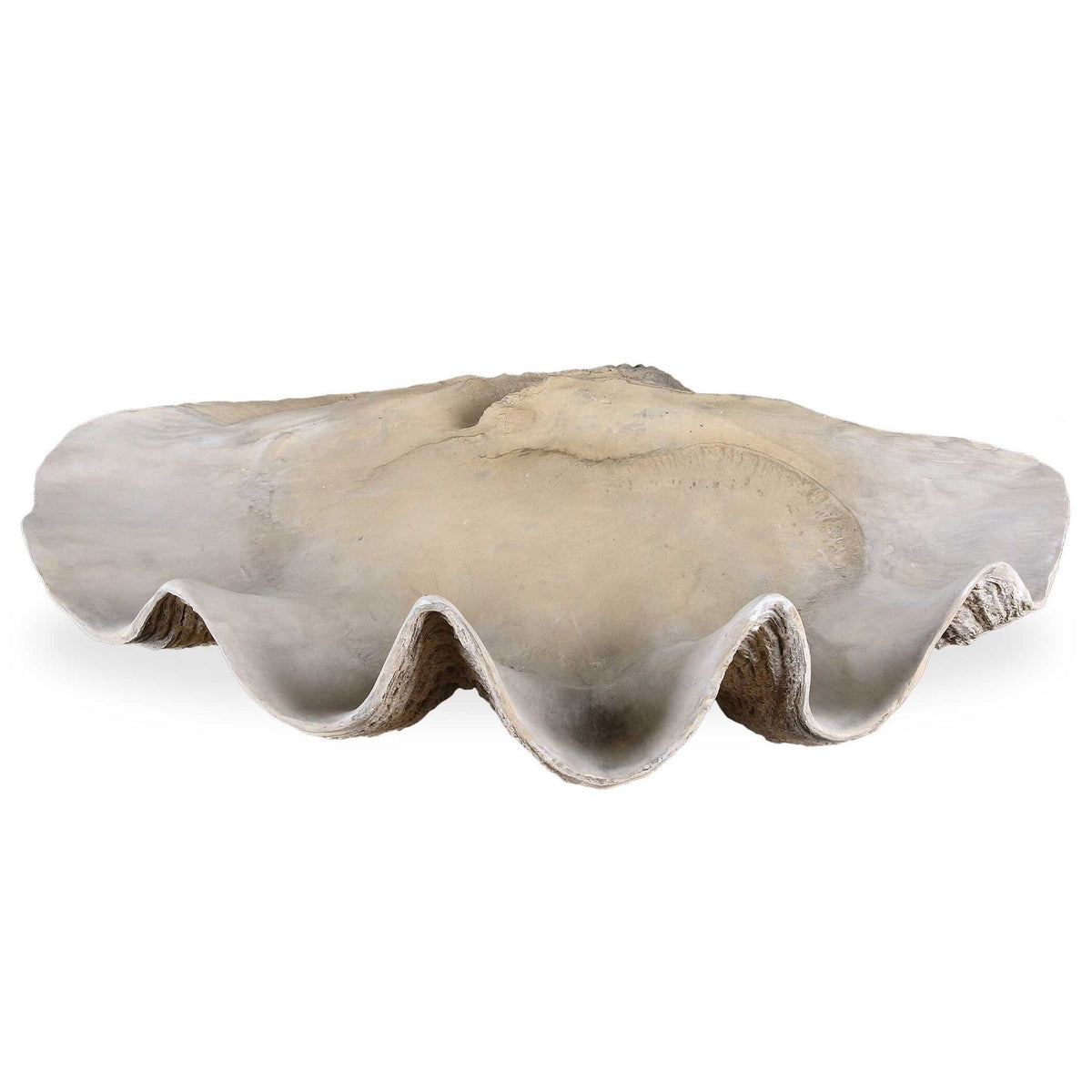 Clam - Shell Bowl - Beige