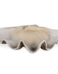 Clam - Shell Bowl - Beige