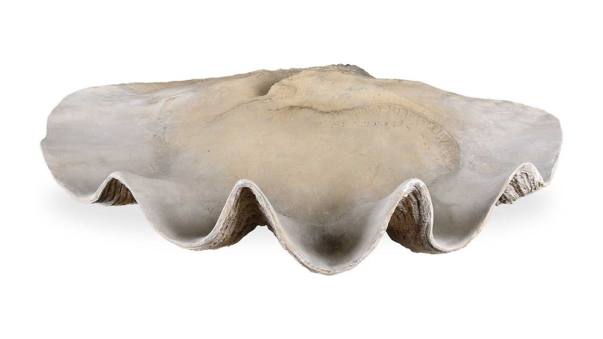 Clam - Shell Bowl - Beige