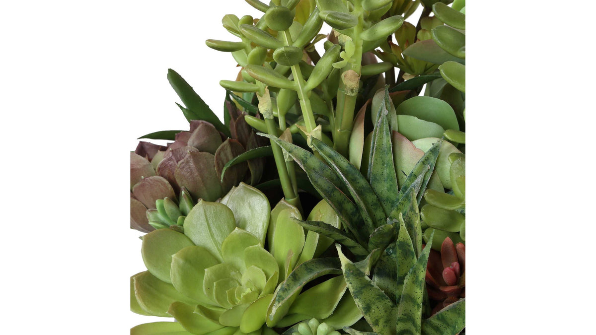 Mico - Indoor-Outdoor Succulent Centerpiece - Black,Green