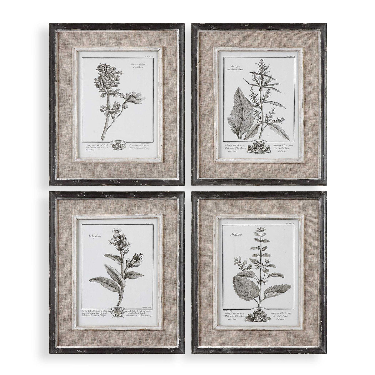 Casual Gray Study - Framed Art (Set of 4) - Beige