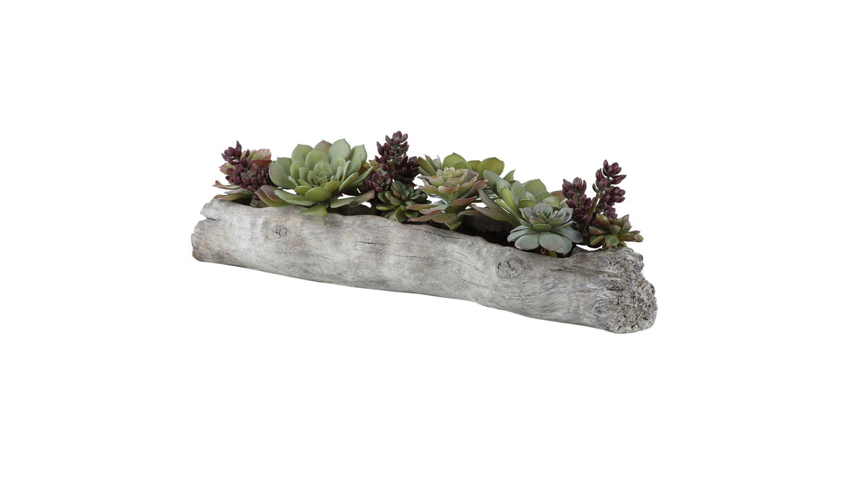 Charita - Lush Succulents - Silver