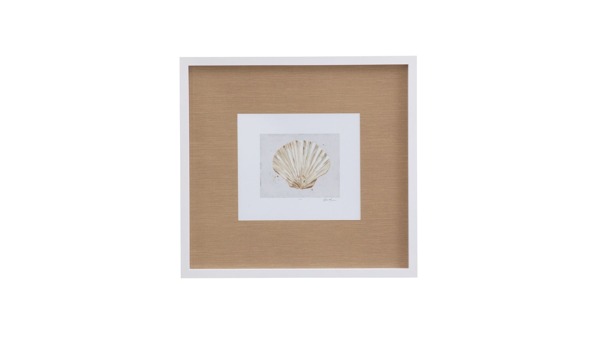 Neutral Shell Fresco IV Framed Print - Light Brown / White