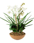 Moth Orchid - Planter - Green