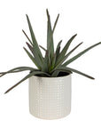Taos - Aloe Centerpiece - Silver