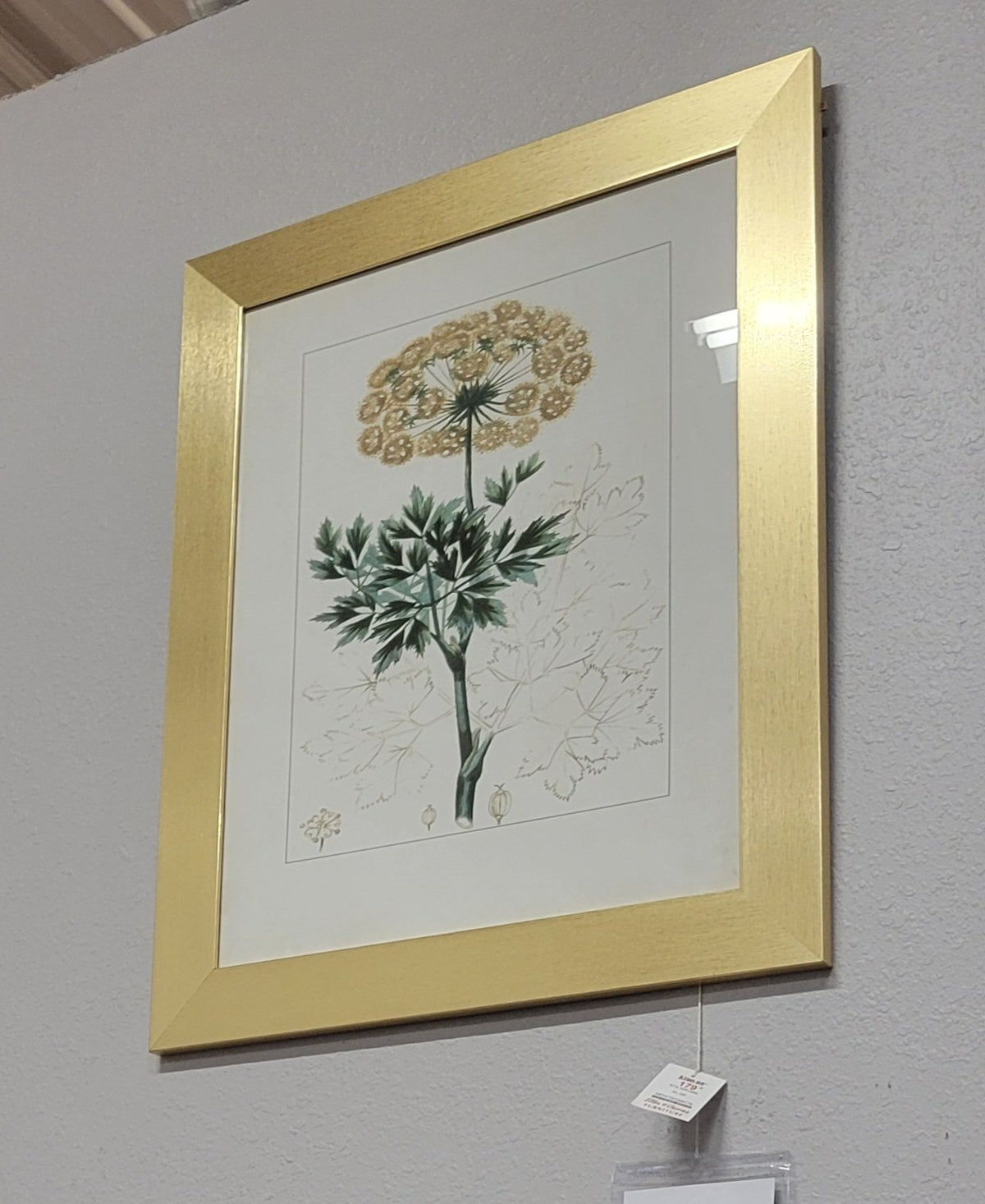 StyleCraft Botanical Framed Art Set of 2 – Closeout, Cleveland