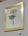 StyleCraft Botanical Framed Art Set of 2 – Closeout, Cleveland