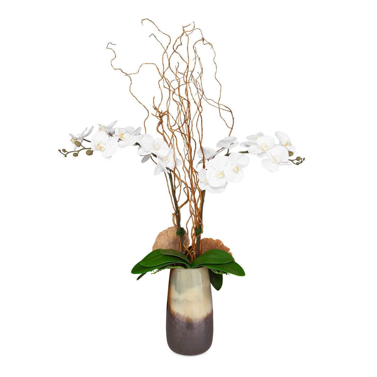 Earthbound Orchid - With Vase - Dark Brown