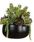 Mico - Indoor-Outdoor Succulent Centerpiece - Black,Green
