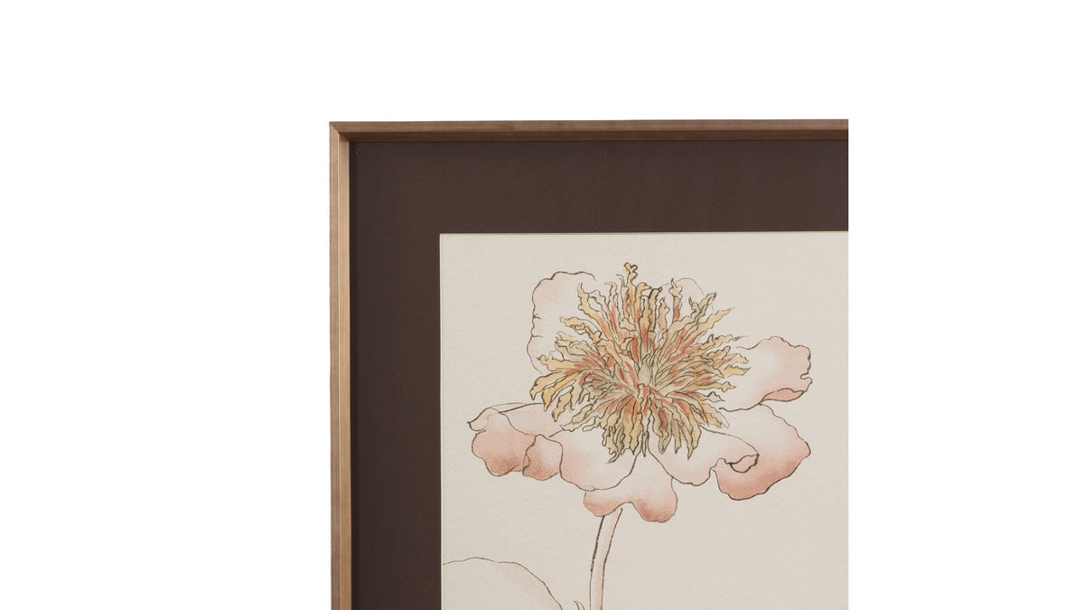 Sketchbook Blooms Delicate Framed Print - Peach / Black / Brown