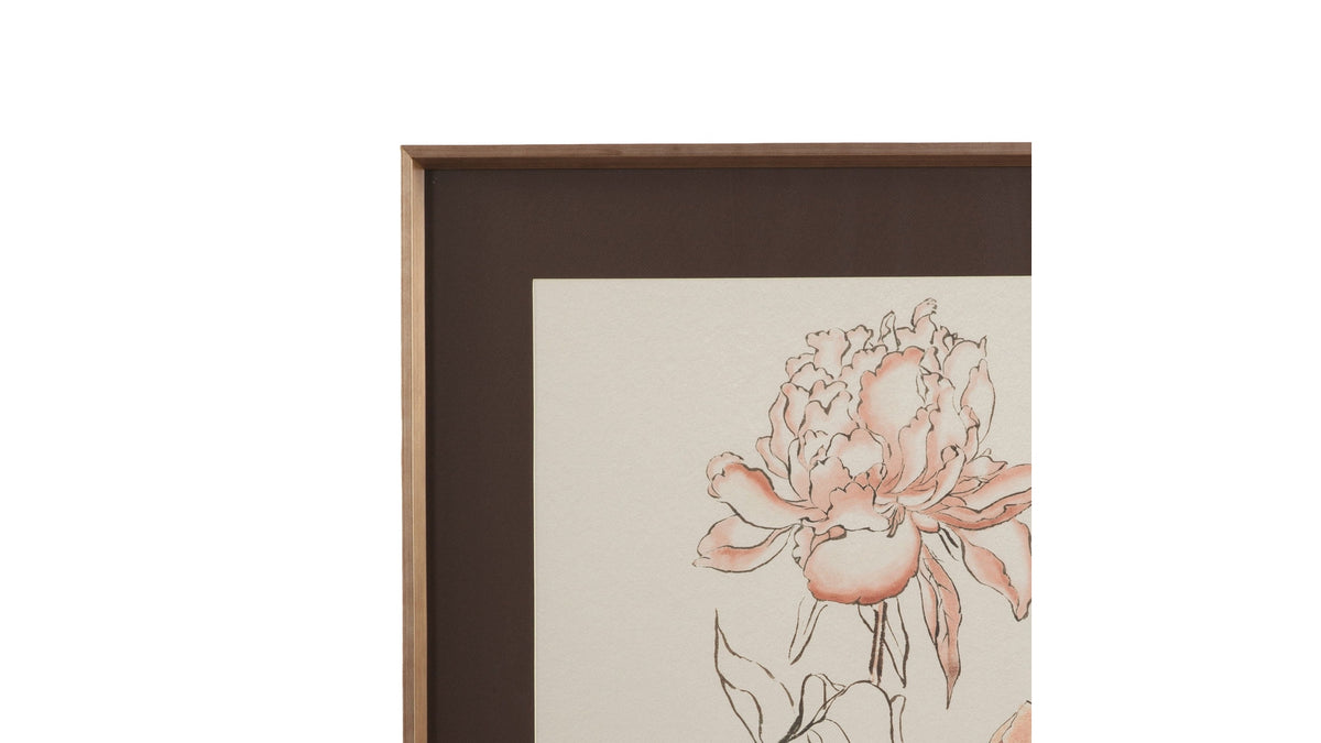 Sketchbook Blooms Blossom Framed Print - Peach / Black / Brown