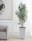 Sonora Olive - Tree In Planter - Gray / Green