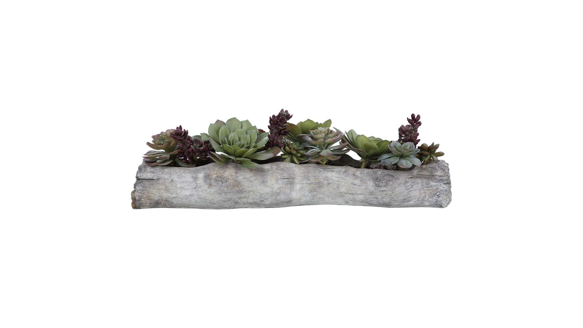 Charita - Lush Succulents - Silver