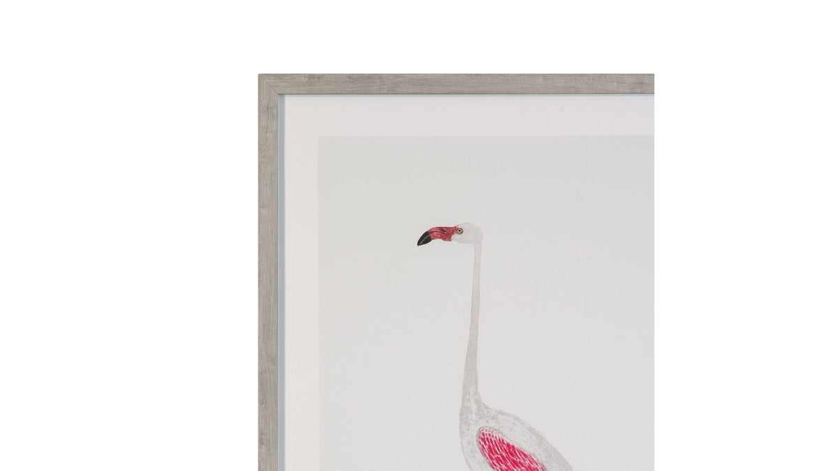 Vintage - Flamingo II Framed Print - Pink