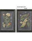 Midnight Botanicals - Wall Art (Set of 2) - Black