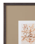 Parchment Coral Framed Print Set of 4 - Brown