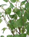 Boreal - Potted Birch Tree - Gray / Green