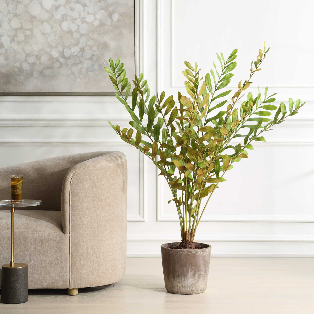 Zamia - Palm Accent In Planter - Green