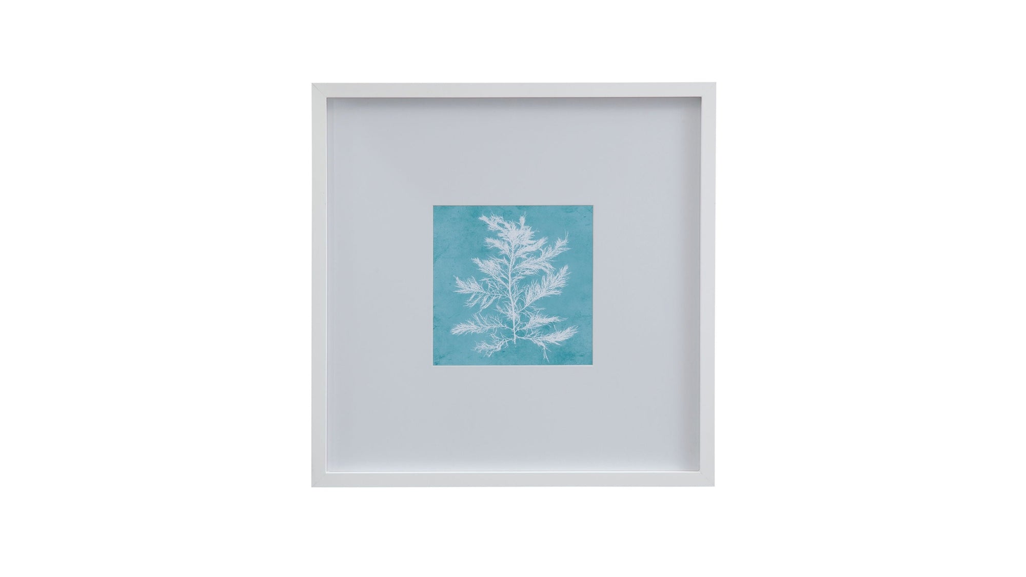 White Coral On Blue IV Framed Print - Blue / White