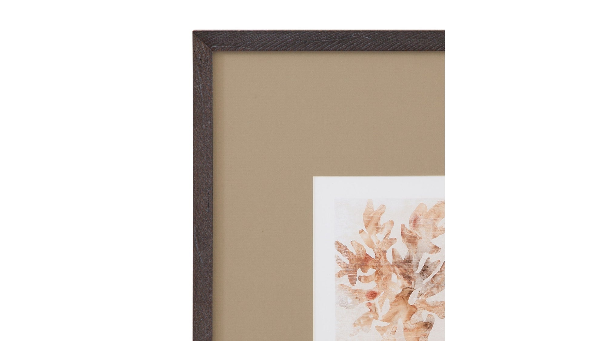 Parchment Coral IV Framed Print - Brown