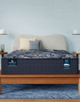 Perfect Sleeper X - 13.75" Excelled Hybrid Extra Firm Mattress