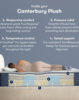 iComfortPro - 15" Canterbury Latex Foam Plush Mattress