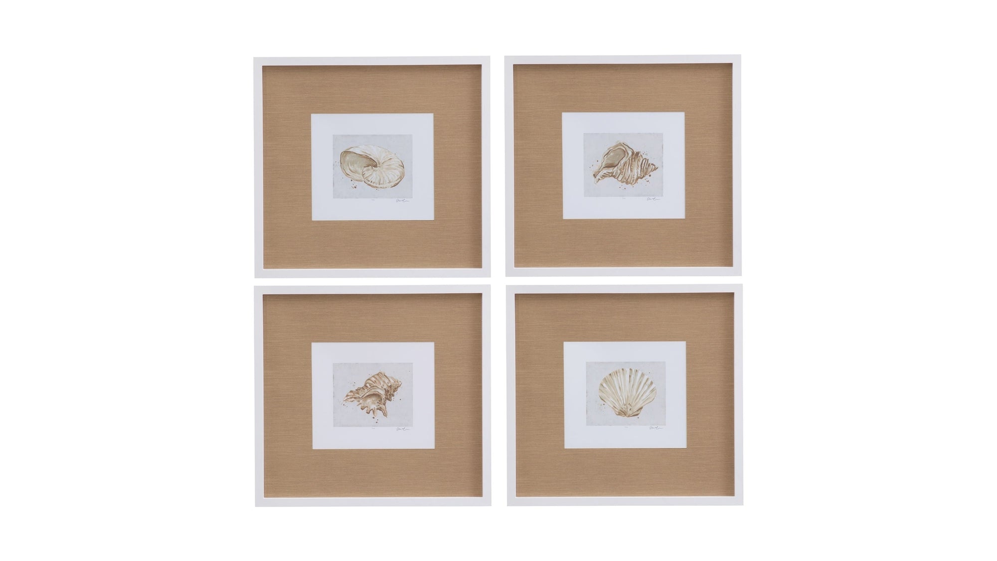 Neutral Shell Fresco IV Framed Print - Light Brown / White