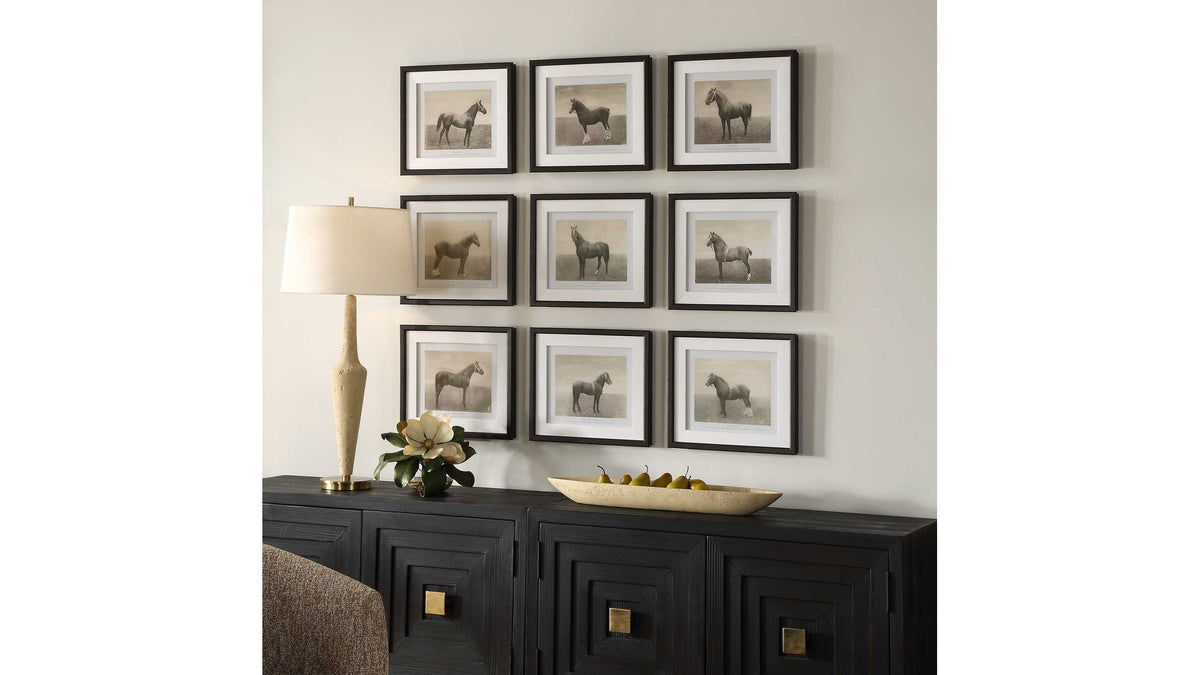 Equine Dynasty - Framed Prints (Set of 9)