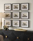 Equine Dynasty - Framed Prints (Set of 9)