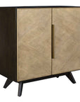Reina - Modern 2 Door Cabinet - Woodtone