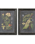Midnight Botanicals - Wall Art (Set of 2) - Black