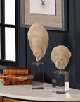 Oyster - Shell Sculptures (Set of 2) - Beige
